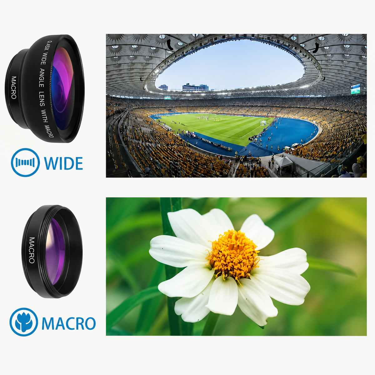 KOREX™ VisionX